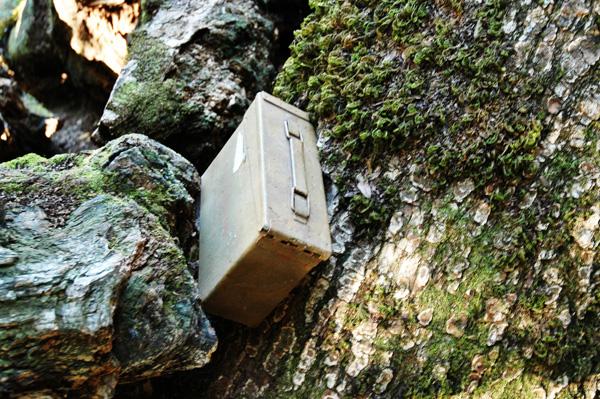 A cache hidden in the Los Tranceros Open State Preserve, found in a tree. 
