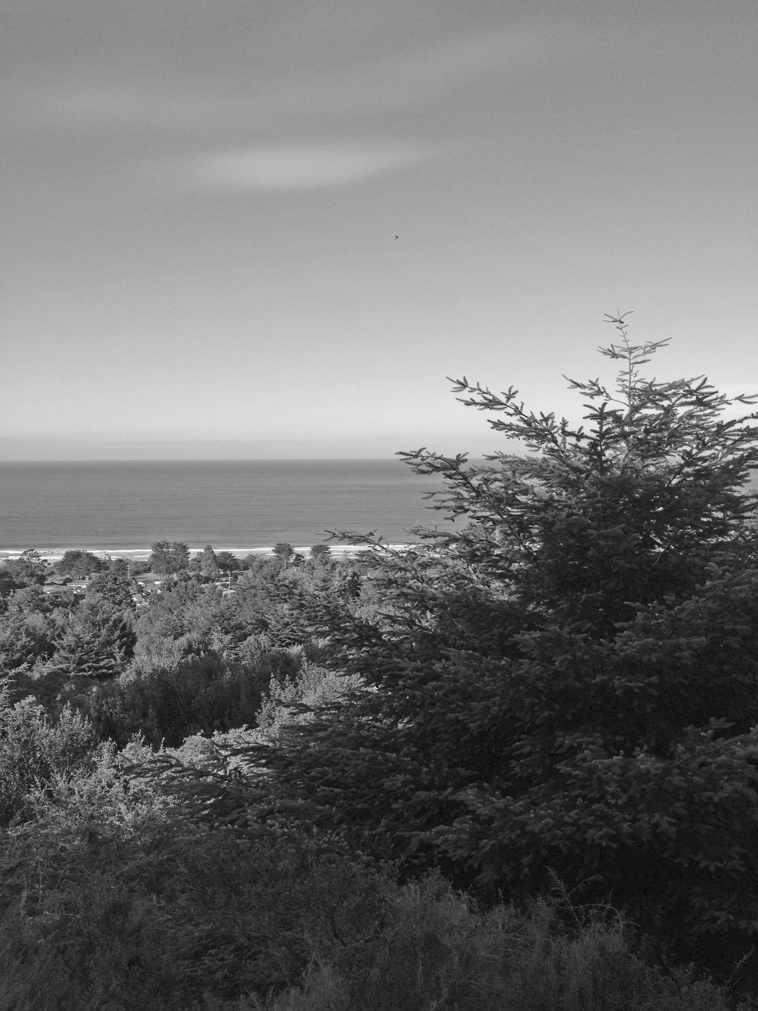From the Matt Davis Trail, the ocean and Stinson Beach are visible. 