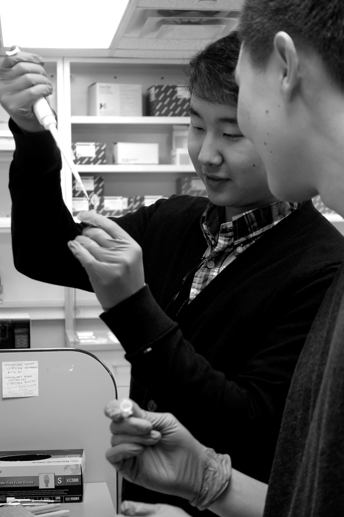 PIPETTING Seniors Eric Chiang and Kevin Li collect data from mice genes at a Stanford lab.