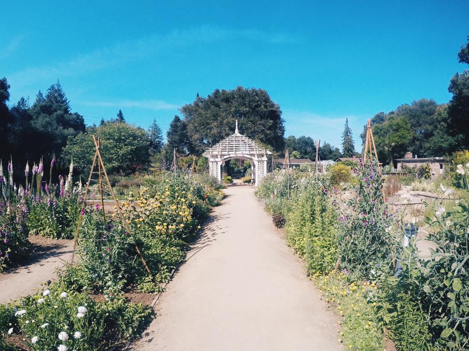 Gamble Gardens: The Significance of a Historical Gem