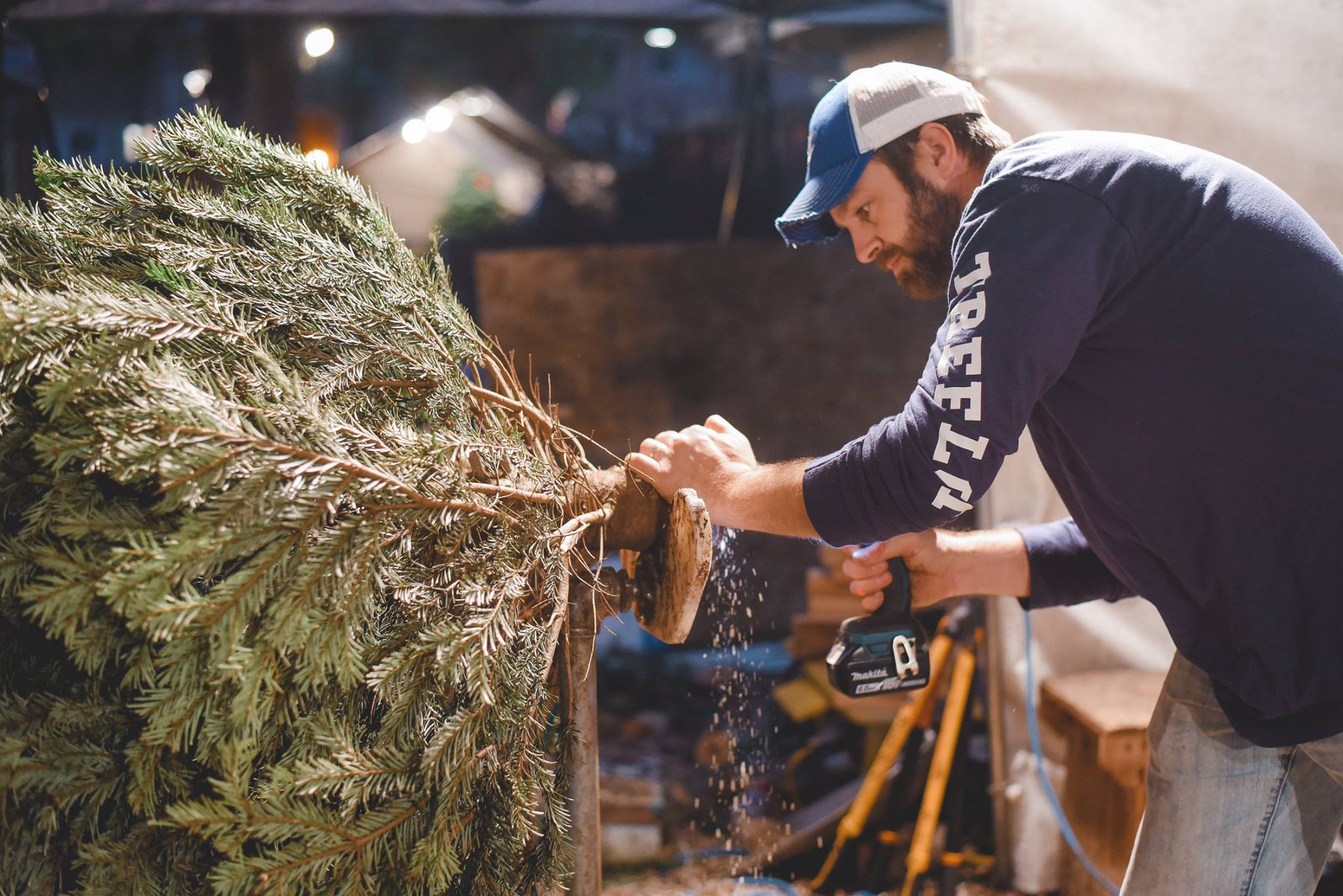 Picking the perfect tree: Humans of the Nativity School Christmas Tree Lot