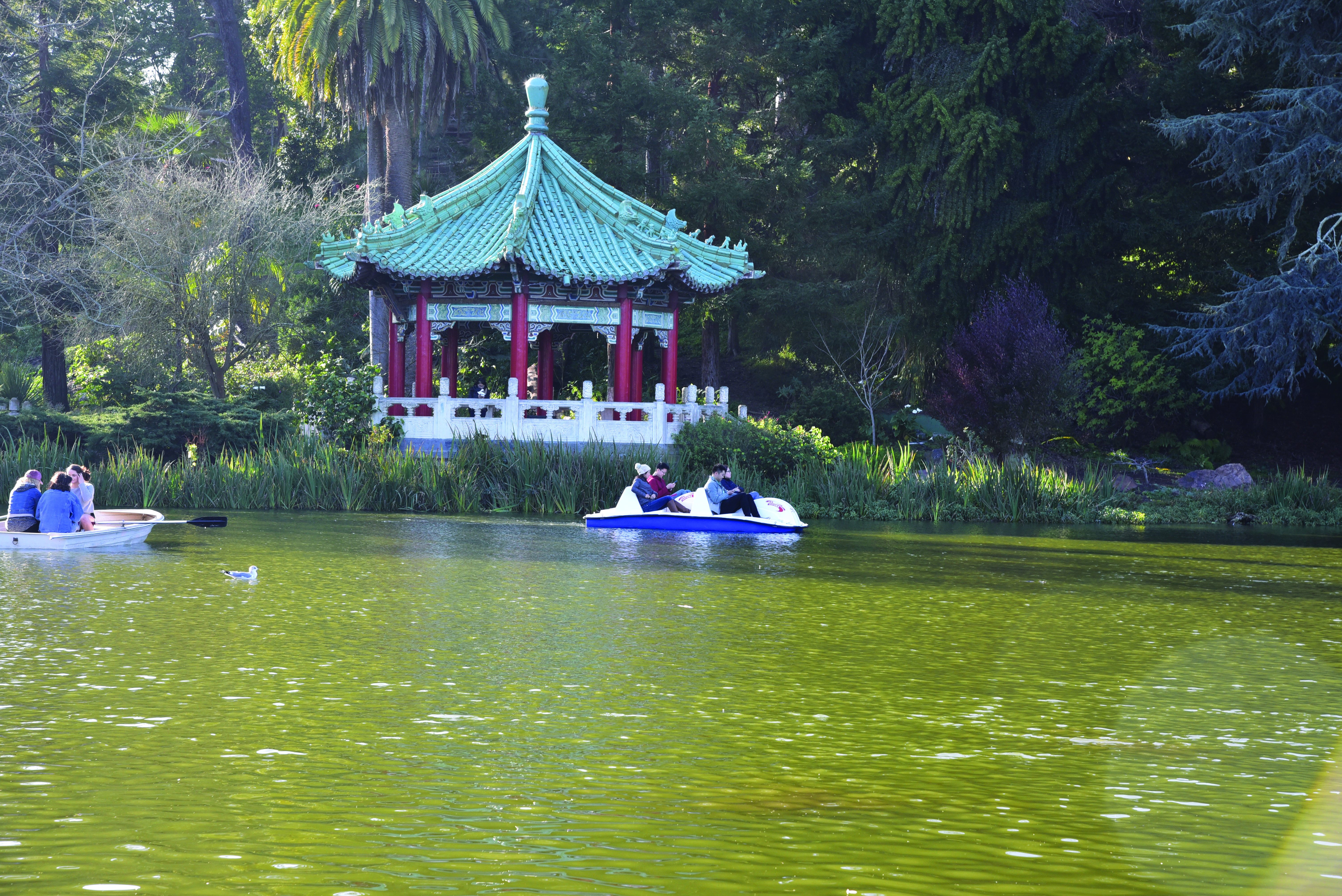  Paddle boaters glide next to a Chinese gazebo through the waters of Stowe Lake, an area nestled in Golden Gate Park. 