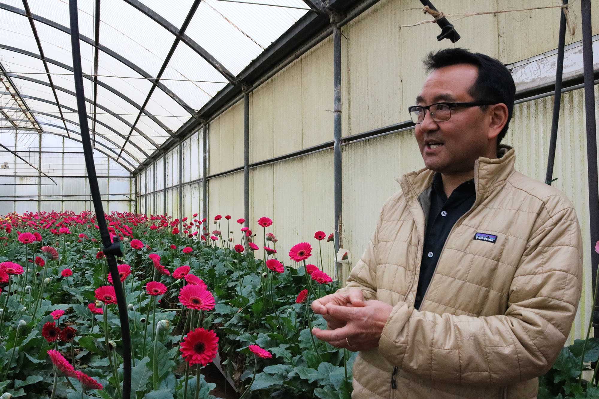 Family-Owned Farm: The Kitayama Flower Growing Legacy