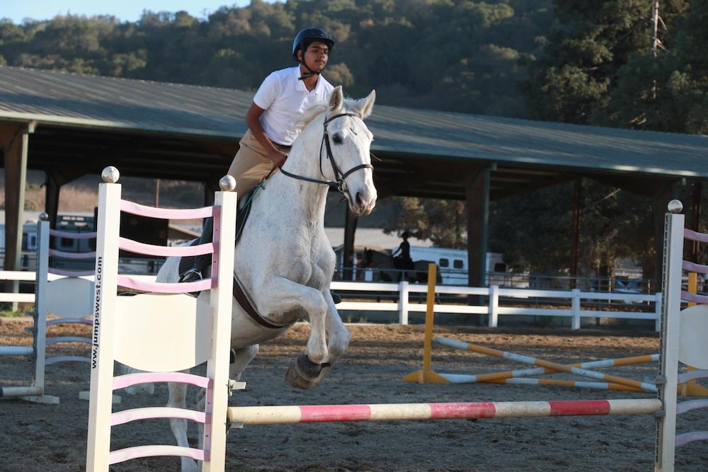 Not Just Horsin Around: Student Equestrian Takes the Reins