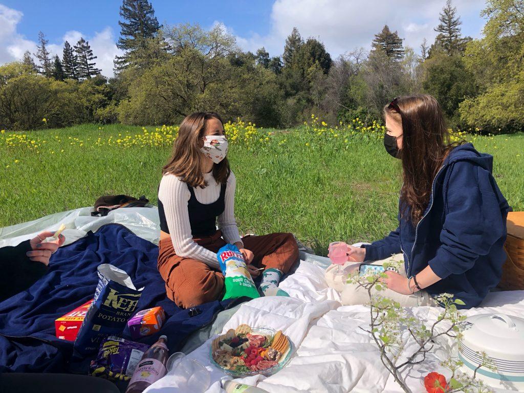 Pandemic picnics: A guide to escaping the indoors