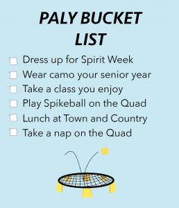 Paly bucket list