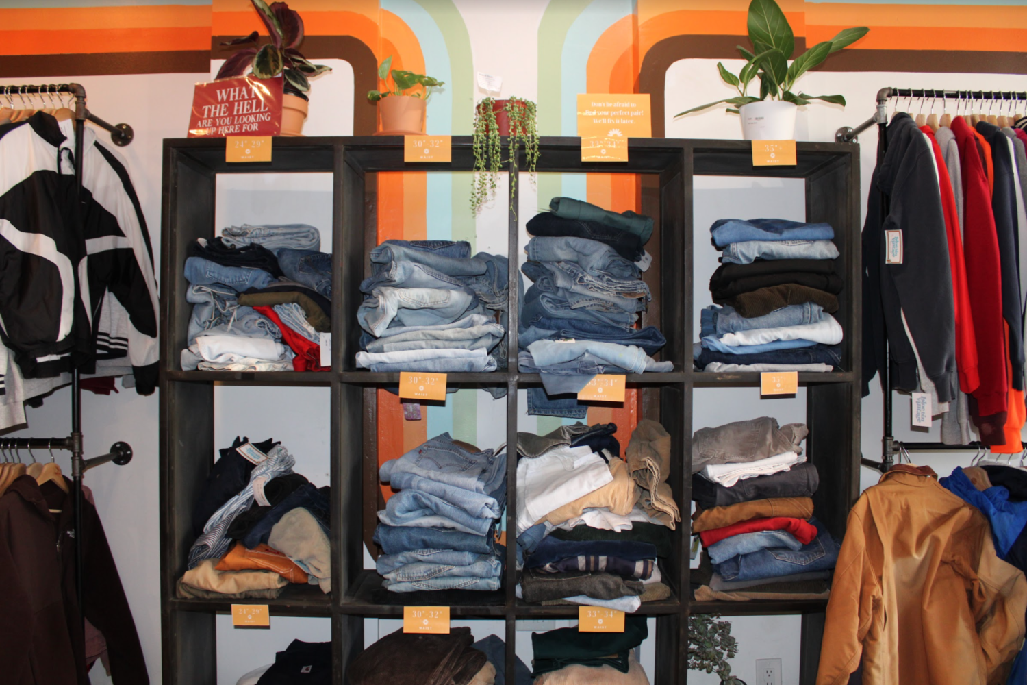 Blue Bin Vintage: Promoting sustainability through secondhand shopping ...