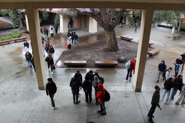 RAINY CAMPUS — Students roam around a rainy Palo Alto High School campus. Following severe rain last year, there are concerns of a similar event this year. “The chances of that [severe rain] happening in any given year is still a crystal ball exercise,” said Margaret Bruce, Executive Director of the San Francisquito Creek Joint Powers Authority. 