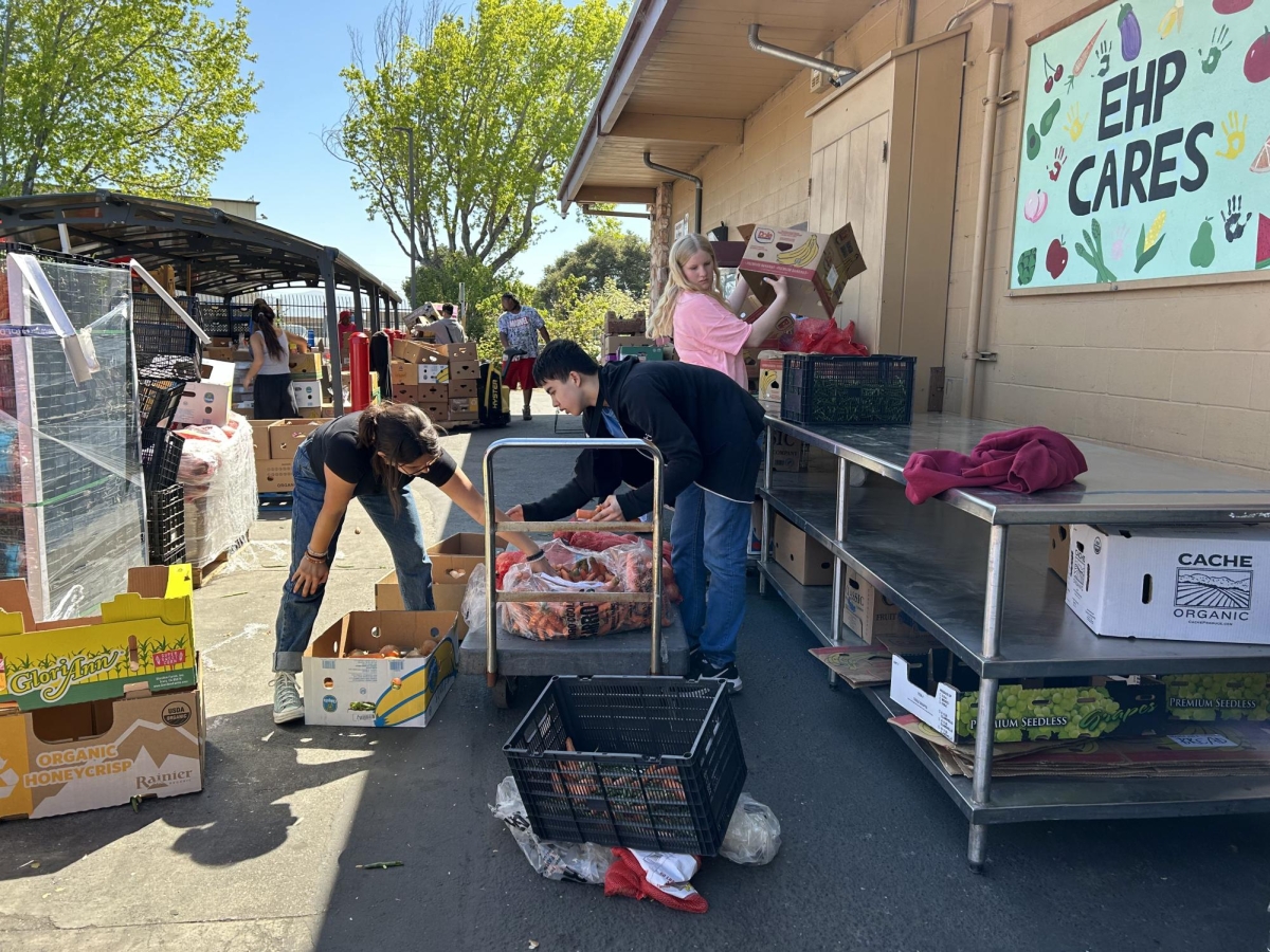 BOXES OF HOPE — Volunteers from the Palo Alto High School Youth Community Service Interact Club pack boxes of food. YCS club Vice President Ean Hsiung said that through the YCS Interact Club students can experience helping the community. “A lot of people would feel a fulfillment from doing service that they wouldn't expect,” Hsiung said.