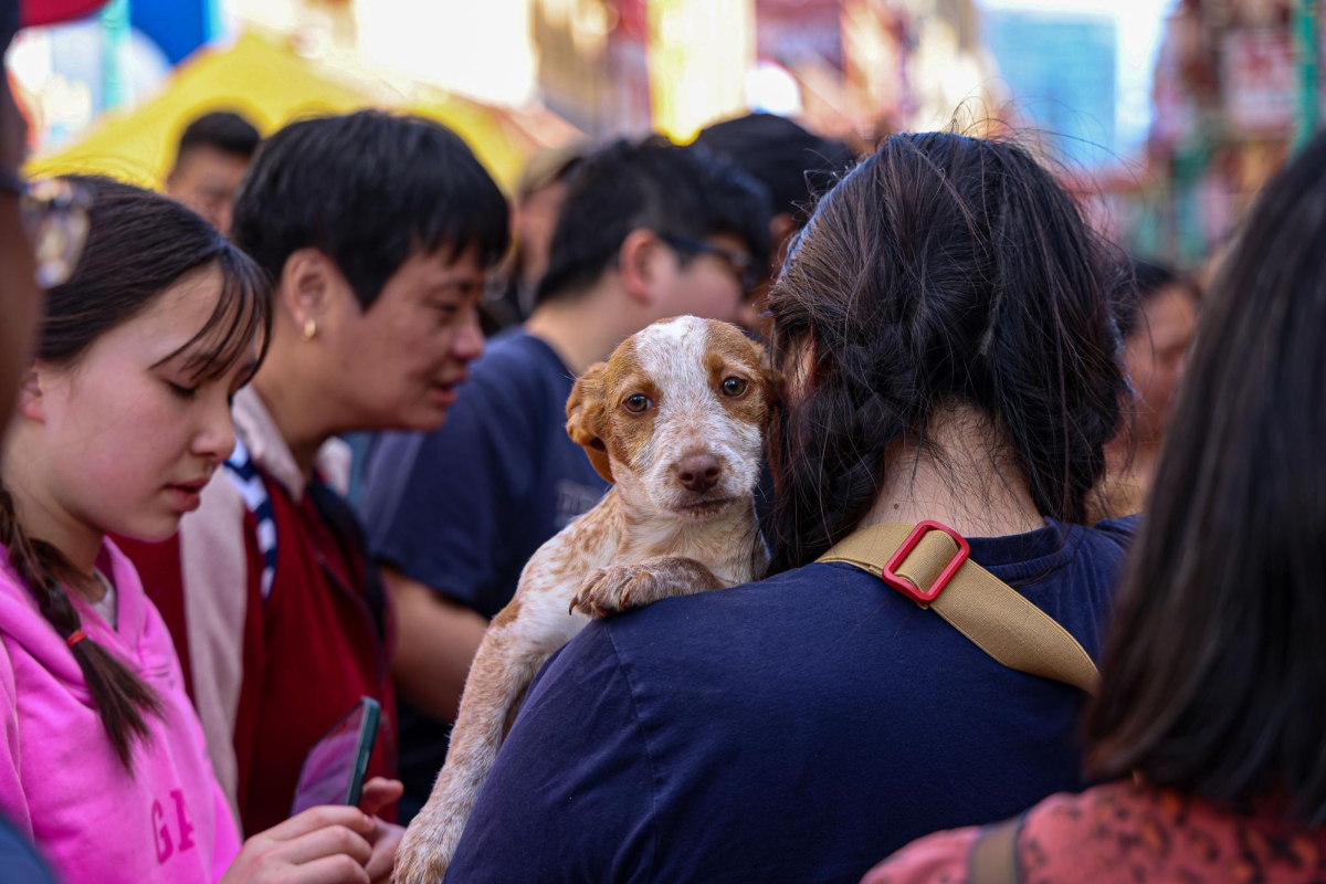 FROM THE BAY — The photos show the moments that I captured in San Fransisco. Photographing moments as I walk from massive Union Square to Chinatown’s bustling squares, there are always interesting people to photograph. 