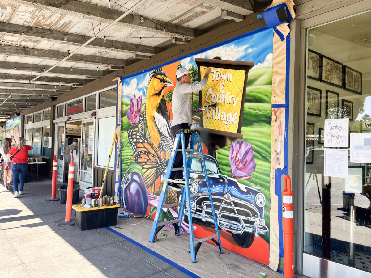 MAXFIELD’S MURALS – In between CVS and Boichik Bagels, Maxfield Bala puts the finishing touches on his second mural. “It [Art] has always been a passion,” Bala said. “I think it's embedded in who I am as a person.”
